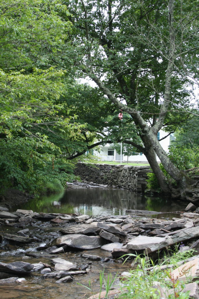 Salt Springs State Park