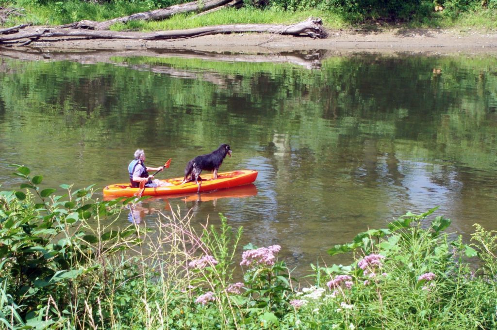 A man and his dog in a kayak on the Susquehanna River
