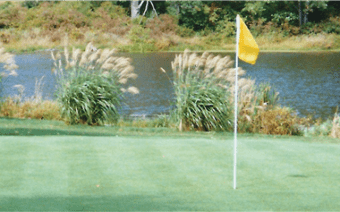 Lakeland's Golf Course