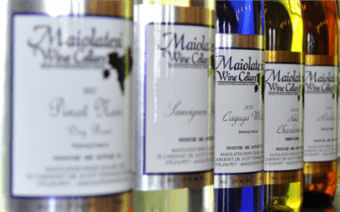 Maiolatesi's wines
