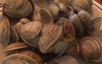 Clams at the Fireplace