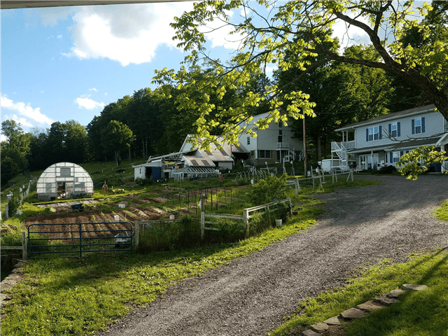 Berry Fields Farm