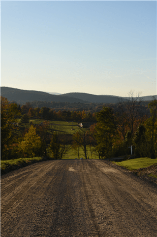 1st Place, Scenic Landscape; Country Road, Wyoming County; by Joanna Wallace