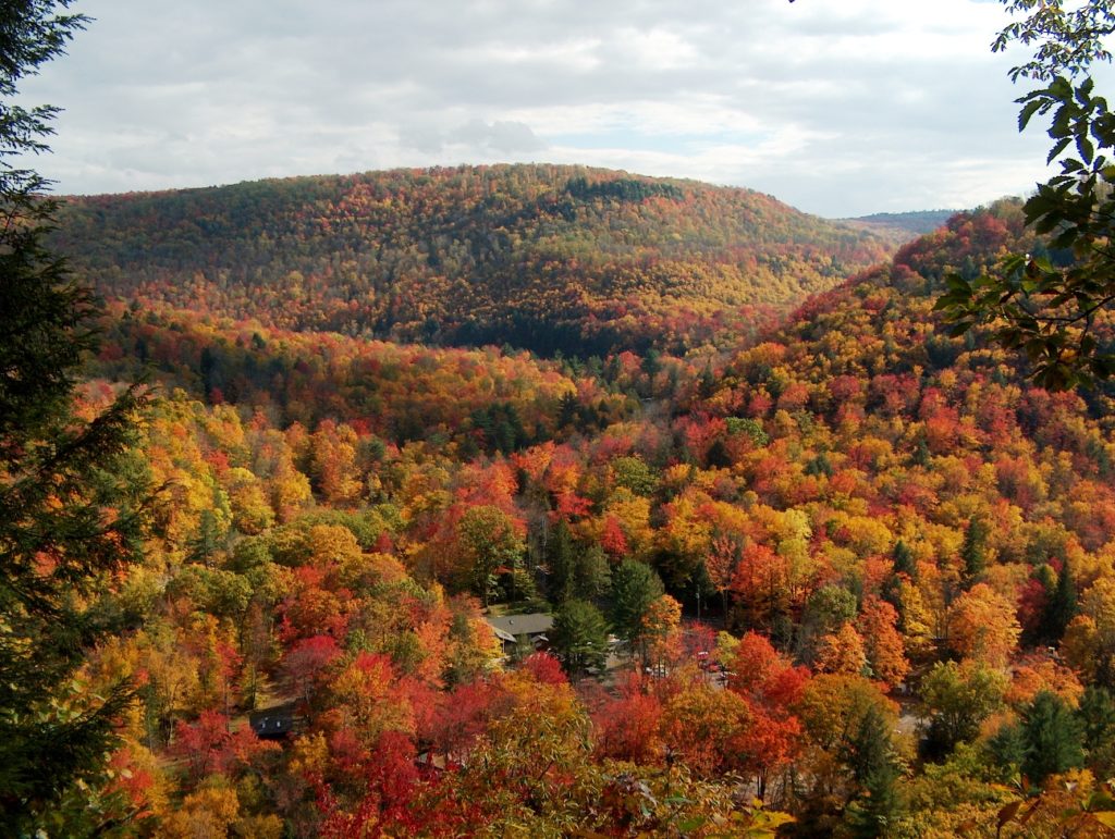 An overlook of Worlds End State Park in the fall