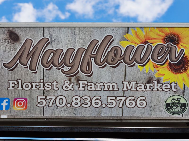 Mayflower Florist & Farm Market