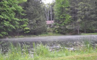Cabin in Colley pond