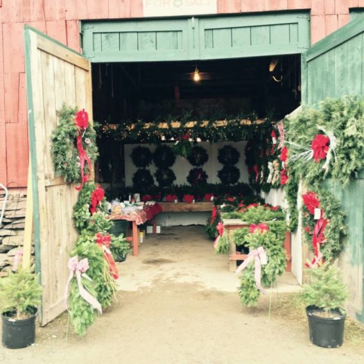 Bennie's Nursery Tree Farm