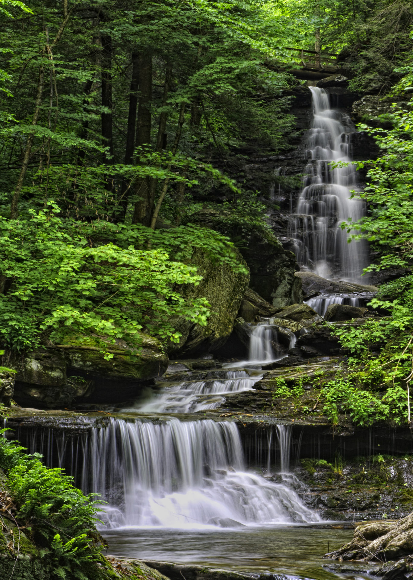 A tall waterfall in a rocky, forested gorge at Ricketts Glen.