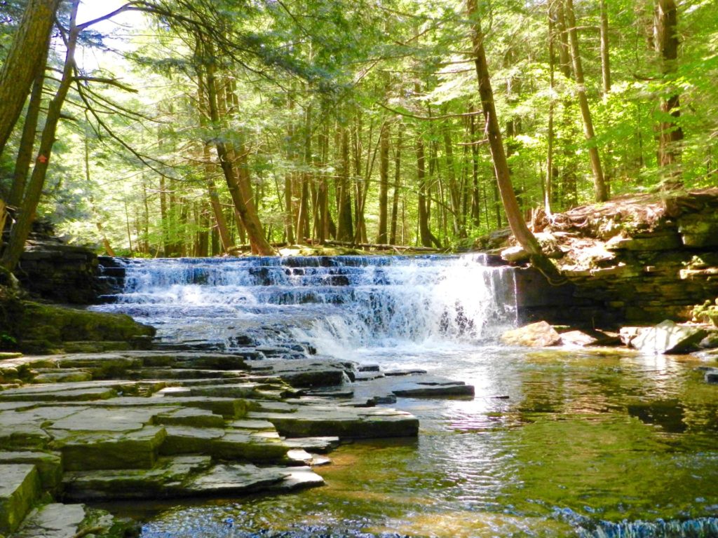 A waterfall surrounded by hemlock trees at Salt Springs State Park