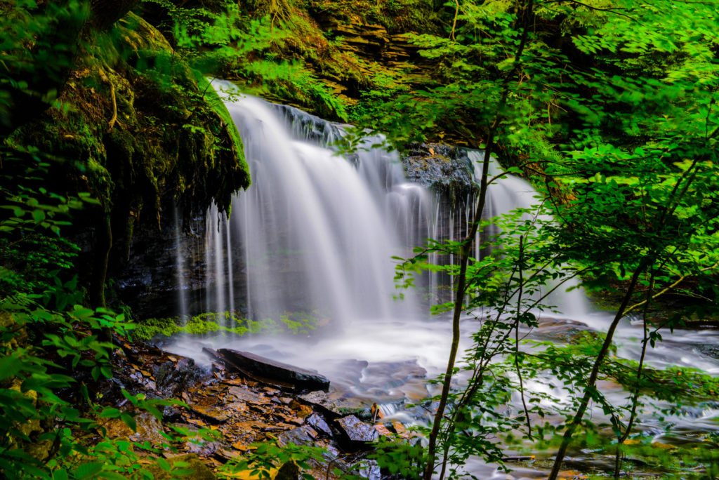 A waterfall surrounded by lush forest at Ricketts Glen State Park