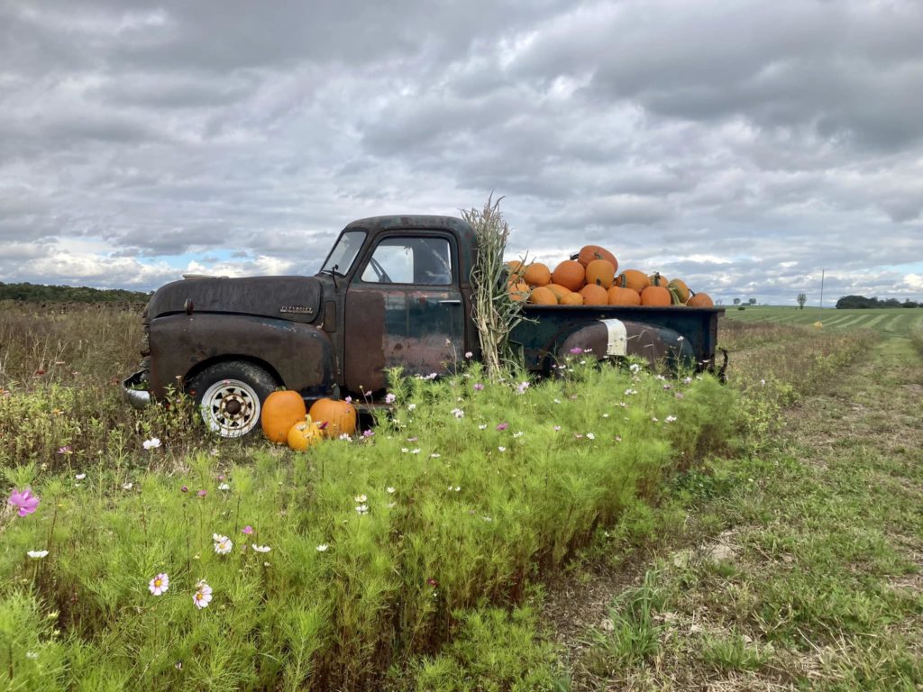 A vintage truck filled with pumpkins at Brown Hill Farms
