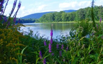 River View with Flowers-Wyoming County-Harriet Smith