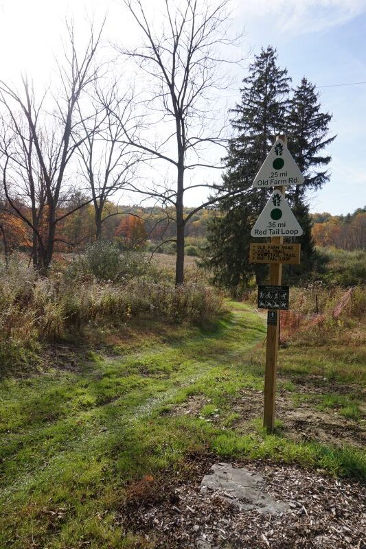 Trail markers at Vosburg Neck State Park