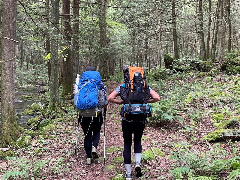 Two women carrying backpacks hike through the forest