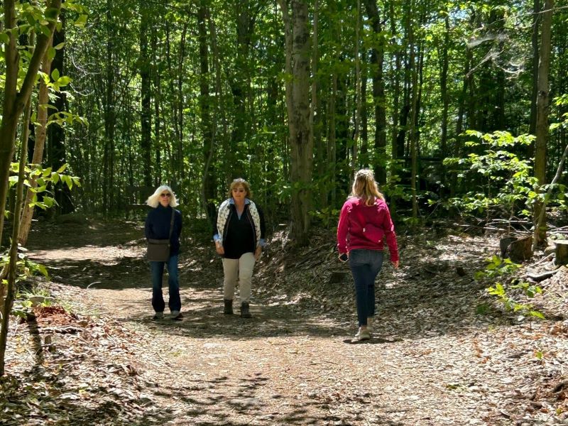 Three women walk on the wooded Summit Trail