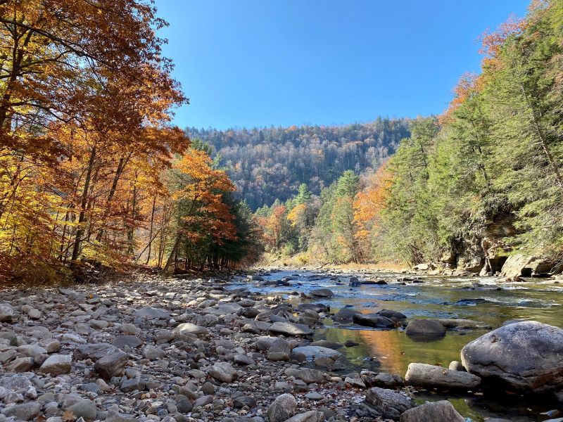 Take a Fall Foliage Road Trip in the PA Endless Mountains