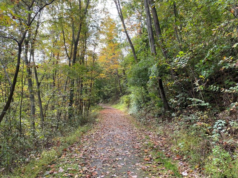 Iroquois Trail