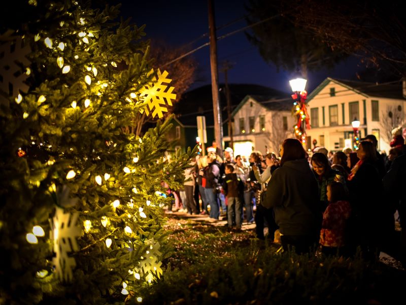 A crowd watches a Christmas tree lighting ceremony