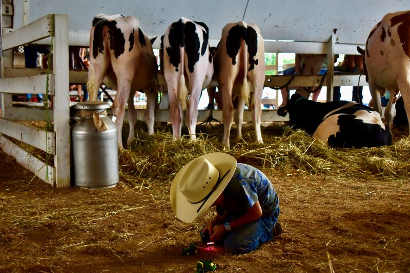 A young boy in a cowboy hat plays with toy tractors inside the cow barn at the Harford Fair