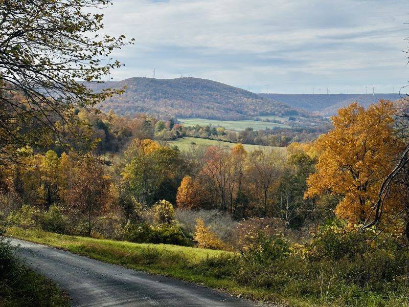 A scenic view from Miller Mountain overlooking farmland and fall foliage