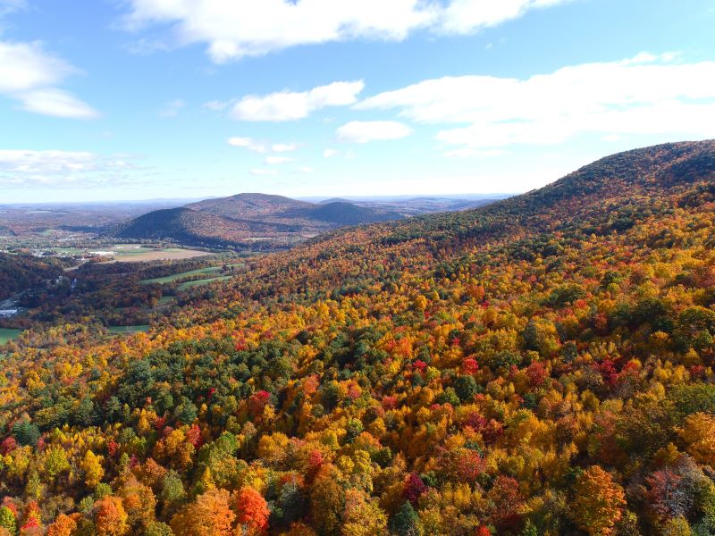 An aerial shot of fall foliage on Miller Mountain