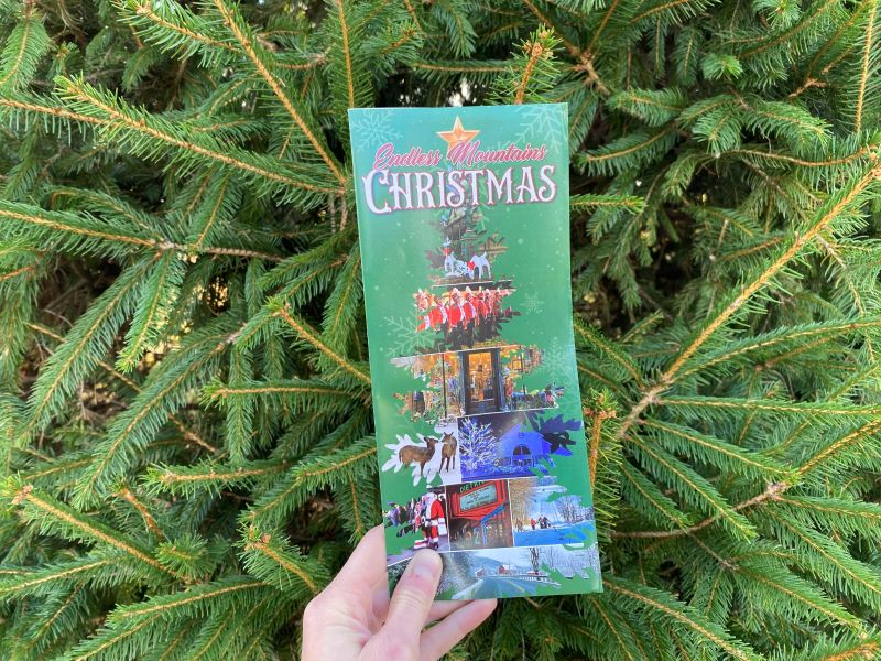 Hand holding a Christmas brochure with pine boughs in the background